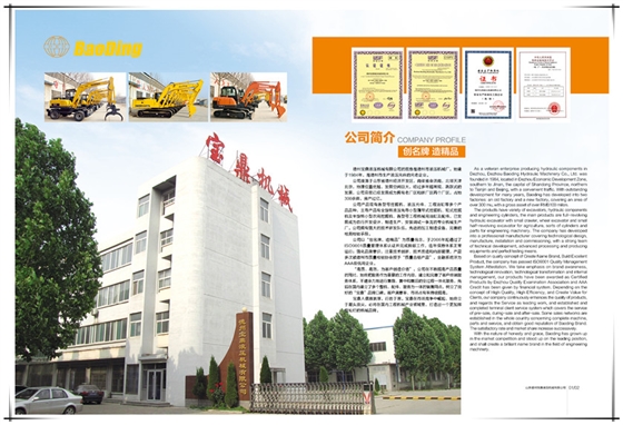 山東寶鼎挖掘機廠家 山東寶鼎挖掘機廠家