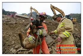 寶鼎挖掘機械 寶鼎挖掘機械