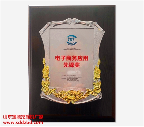 山東寶鼎挖掘機(jī)廠家電商先鋒獎(jiǎng)