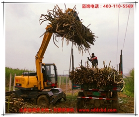 山東寶鼎抓木機(甘蔗抓裝機)產品 山東寶鼎抓木機(甘蔗抓裝機)產品