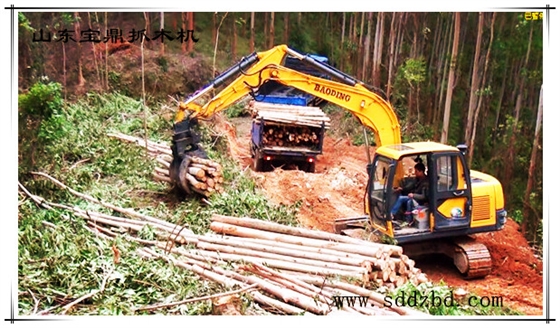 寶鼎挖掘機(jī)抓木機(jī)產(chǎn)品 寶鼎挖掘機(jī)抓木機(jī)產(chǎn)品