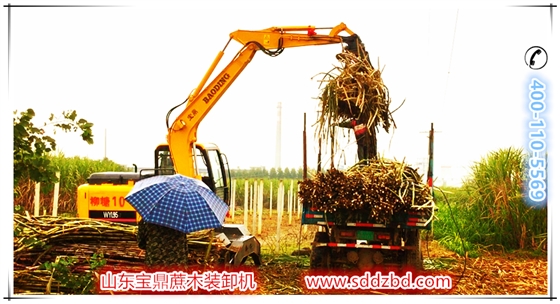 寶鼎蔗木裝卸機產品 寶鼎蔗木裝卸機產品