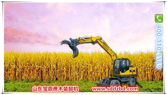 寶鼎蔗木裝卸機產品 寶鼎蔗木裝卸機產品