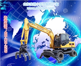 山東寶鼎小型挖掘機生產廠家 山東寶鼎小型挖掘機生產廠家