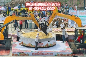 山東寶鼎小型挖掘機生產廠家 山東寶鼎小型挖掘機生產廠家