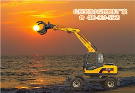 山東寶鼎輪式抓木機廠家