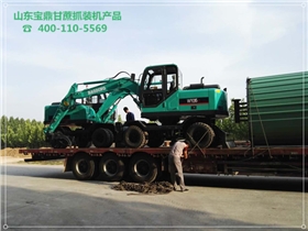 寶鼎小型挖掘機廠家甘蔗抓裝機產品