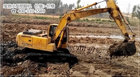 山東寶鼎小型挖掘機(jī)廠家挖掘機(jī)械產(chǎn)品價(jià)值大于價(jià)格