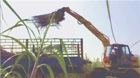 輪式抓木機_寶鼎輪式抓木機 輪式抓木機_寶鼎輪式抓木機