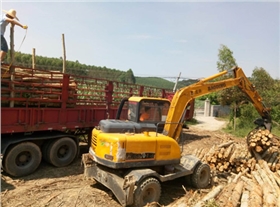 廣西輪式抓木機 廣西輪式抓木機