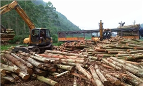 寶鼎輪式抓木機(jī) 寶鼎輪式抓木機(jī)