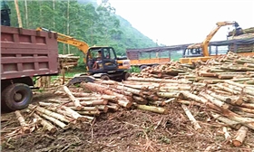 輪式抓木機(jī) 輪式抓木機(jī)