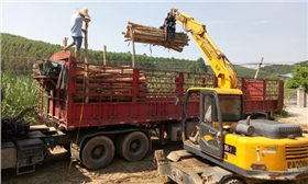 輪式抓木機 輪式抓木機