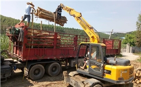 廣西輪式抓木機 廣西輪式抓木機