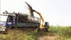 輪式抓木機 輪式抓木機