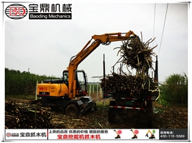寶鼎抓木機廣西抓裝甘蔗作業圖片 寶鼎抓木機廣西抓裝甘蔗作業圖片