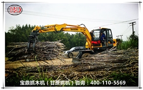 寶鼎抓木機(jī)（甘蔗抓機(jī)）裝卸甘蔗