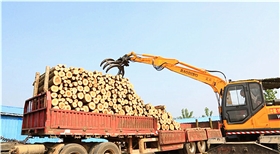 抓木機價格,抓木機多少錢一臺 抓木機價格,抓木機多少錢一臺