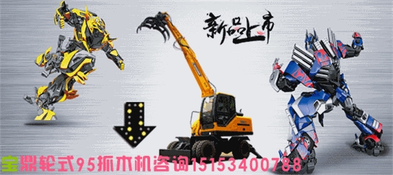 寶鼎抓木機抓甘蔗機