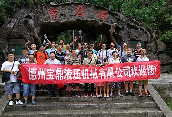 寶鼎挖掘機(jī)抓木機(jī)廠家 寶鼎挖掘機(jī)抓木機(jī)廠家