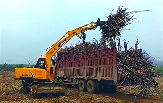 寶鼎品牌抓甘蔗機抓木機推薦 寶鼎品牌抓甘蔗機抓木機推薦