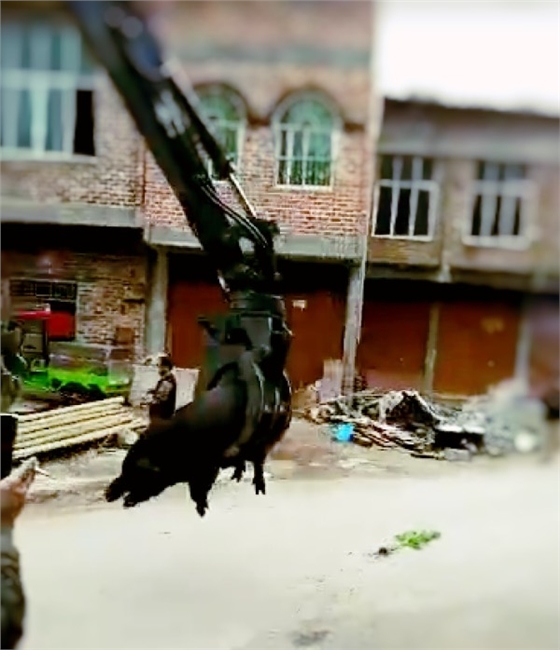 寶鼎抓木機(jī)抓豬 寶鼎抓木機(jī)抓豬