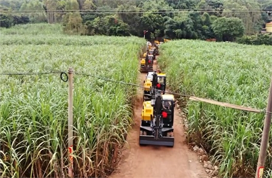 廣西榨季寶鼎抓木機已經做好開榨準備 廣西榨季寶鼎抓木機已經做好開榨準備