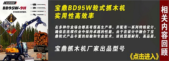 寶鼎95抓木機廠家推薦型號 寶鼎95抓木機廠家推薦型號