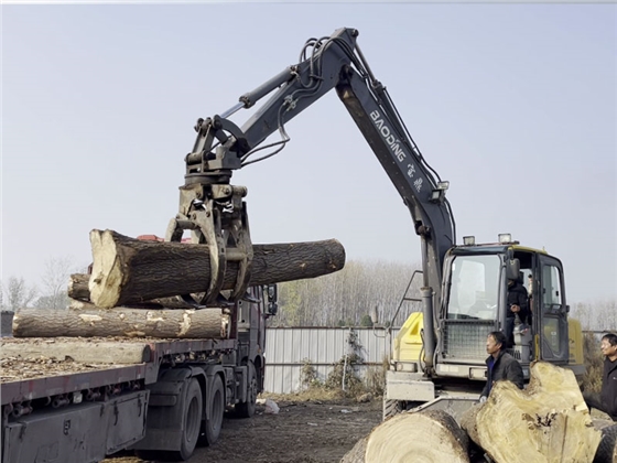 寶鼎抓木機 寶鼎抓木機