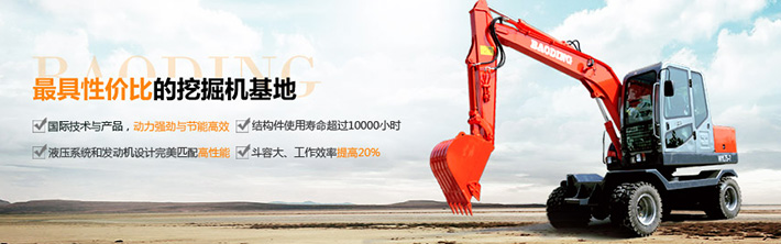 寶鼎-最具性價比的挖掘機
