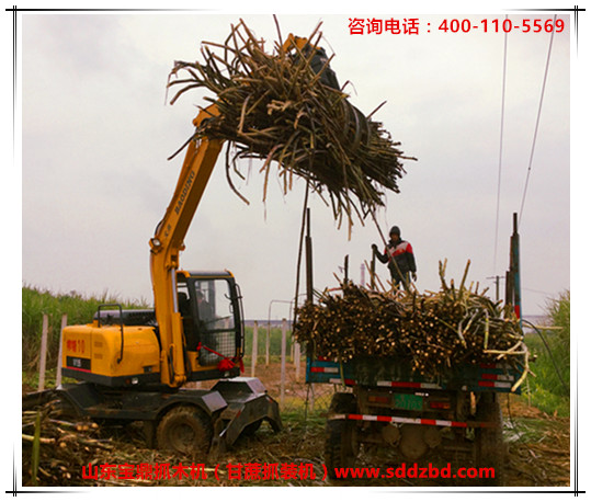 山東寶鼎抓木機(甘蔗抓裝機)產品 山東寶鼎抓木機(甘蔗抓裝機)產品