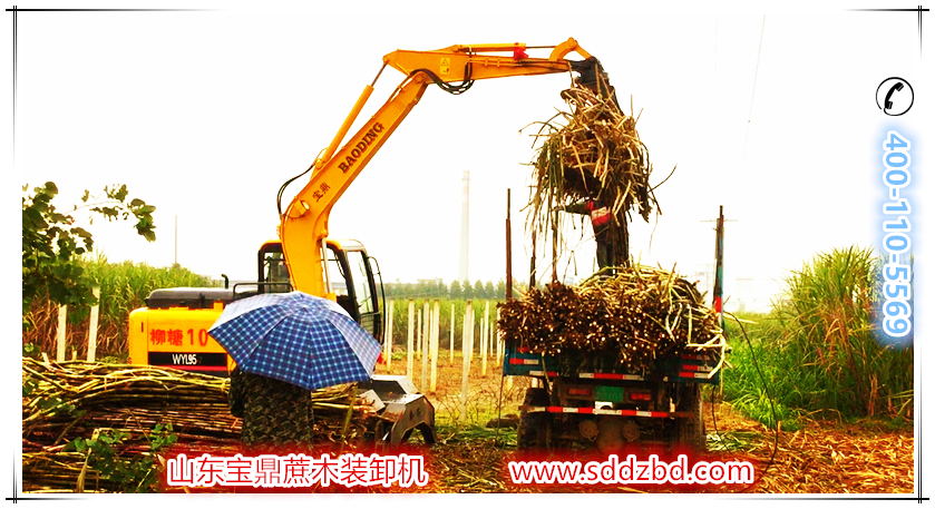 寶鼎蔗木裝卸機(jī)產(chǎn)品 寶鼎蔗木裝卸機(jī)產(chǎn)品