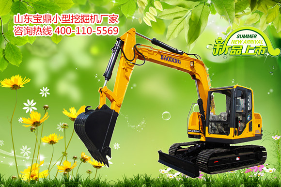 山東寶鼎小型挖掘機(jī)生產(chǎn)廠家 山東寶鼎小型挖掘機(jī)生產(chǎn)廠家