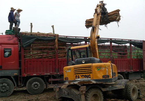 宜州輪式抓木機(jī) 宜州輪式抓木機(jī)