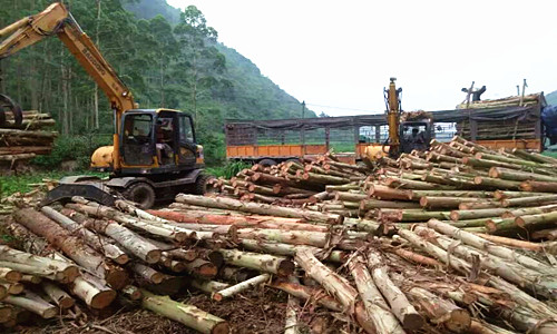 寶鼎輪式抓木機 寶鼎輪式抓木機