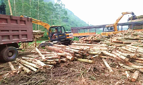 輪式抓木機 輪式抓木機