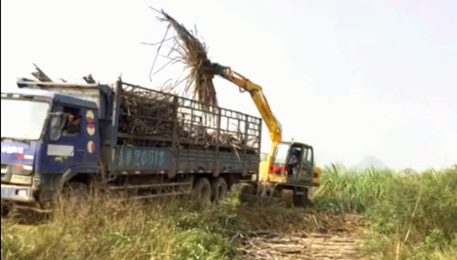 輪式抓木機 輪式抓木機