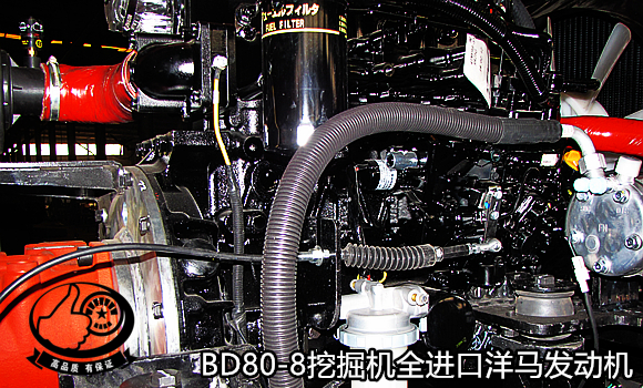 寶鼎80挖掘機進口洋馬發動機 寶鼎80挖掘機進口洋馬發動機