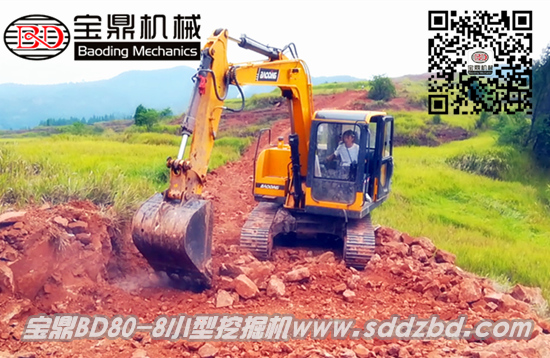 寶鼎小型挖掘機80型號