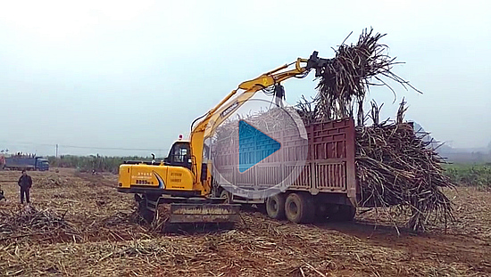 寶鼎95輪式抓木機 寶鼎95輪式抓木機