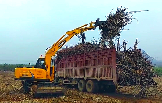 寶鼎品牌抓甘蔗機抓木機推薦 寶鼎品牌抓甘蔗機抓木機推薦