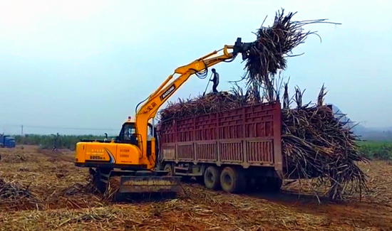 寶鼎新款95抓木機廣西作業圖 寶鼎新款95抓木機廣西作業圖