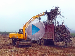 廣西地區寶鼎BD95W-9輪式抓木機工作案例 廣西地區寶鼎BD95W-9輪式抓木機工作案例