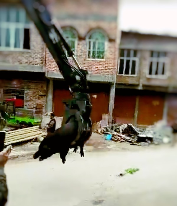 寶鼎抓木機(jī)抓豬 寶鼎抓木機(jī)抓豬