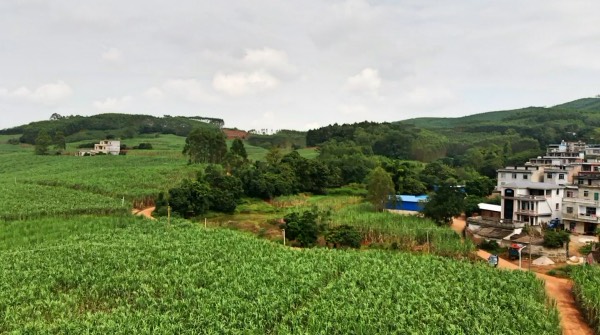 廣西寶鼎抓木機 廣西寶鼎抓木機