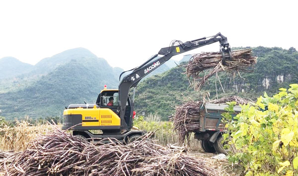 輪式抓木機操作 輪式抓木機操作
