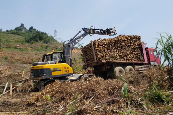 mmexport1536799142558.jpg mmexport1536799142558.jpg