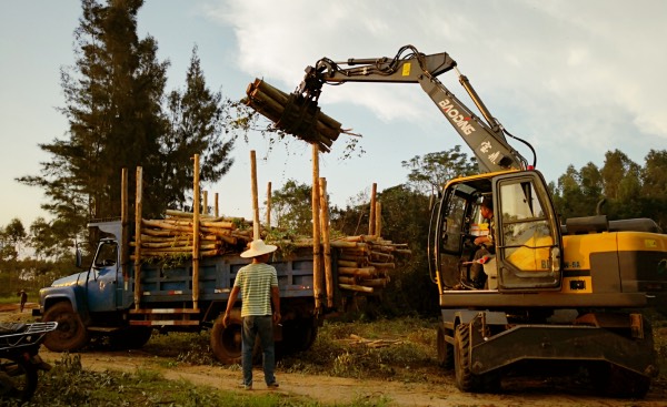 寶鼎抓木機 寶鼎抓木機