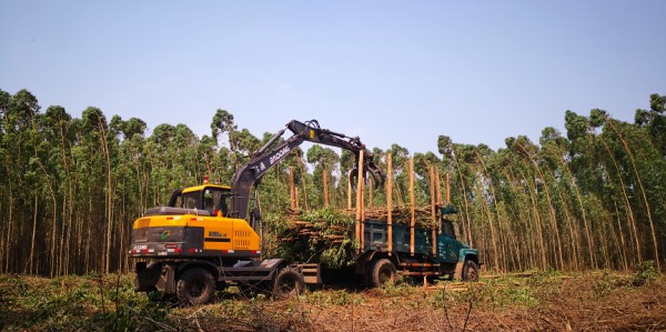 寶鼎抓木機湛江作業 寶鼎抓木機湛江作業
