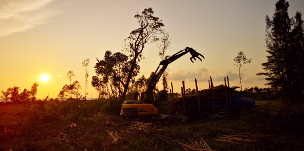 夕陽下的寶鼎抓木機 夕陽下的寶鼎抓木機